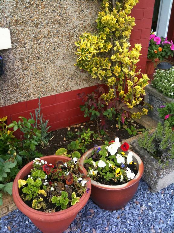 Almond House B&B Edinburgh Exterior foto
