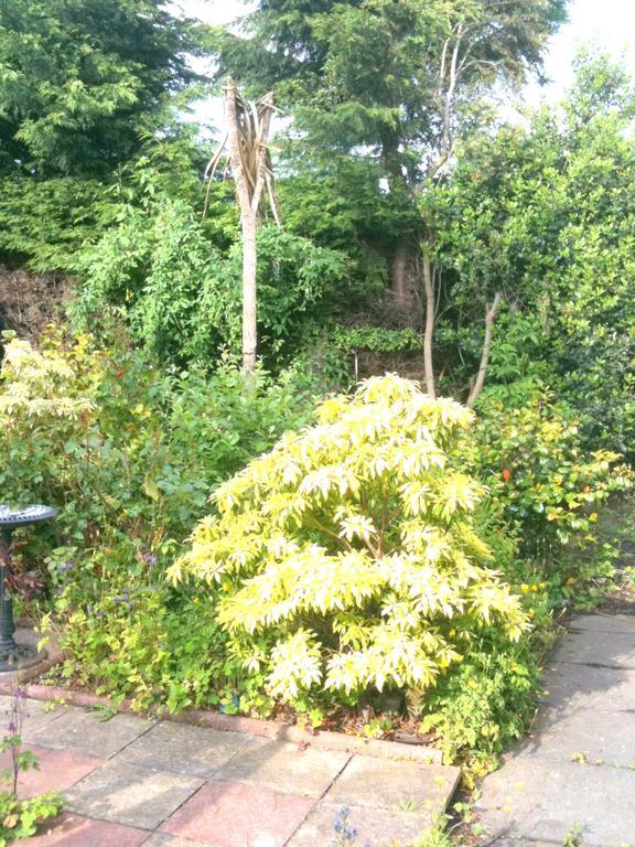 Almond House B&B Edinburgh Exterior foto